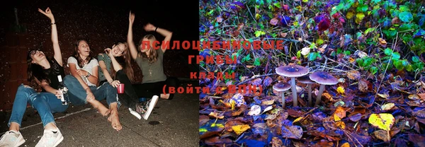 spice Зеленокумск