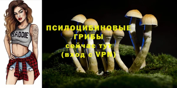 spice Зеленокумск